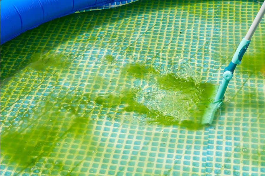 traitement de l'eau verte de la piscine